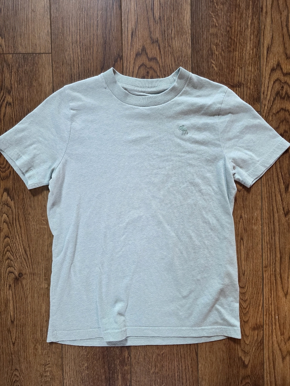abercrombie kids Pale Green Essential Tee